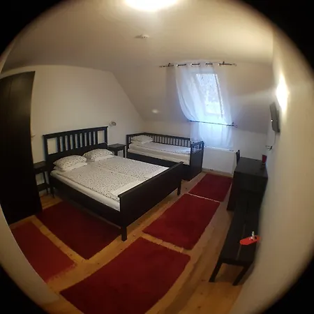 Stari Tisler 3* Ljubljana