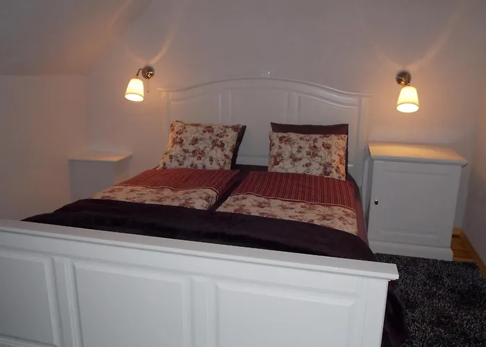 Guest house Stari Tisler