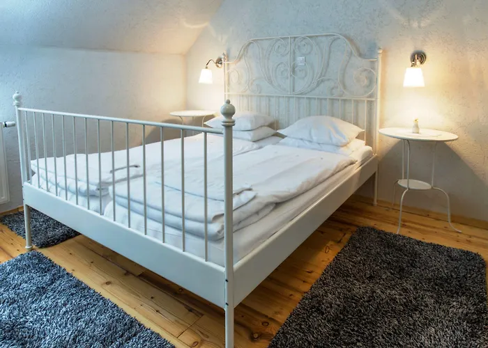 Guest house Stari Tisler 3*