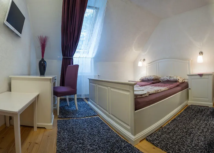 Guest house Stari Tisler 3*