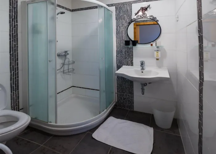 Guest house Stari Tisler 3*