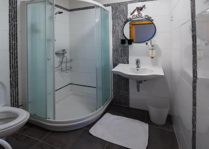 Guest house Stari Tisler