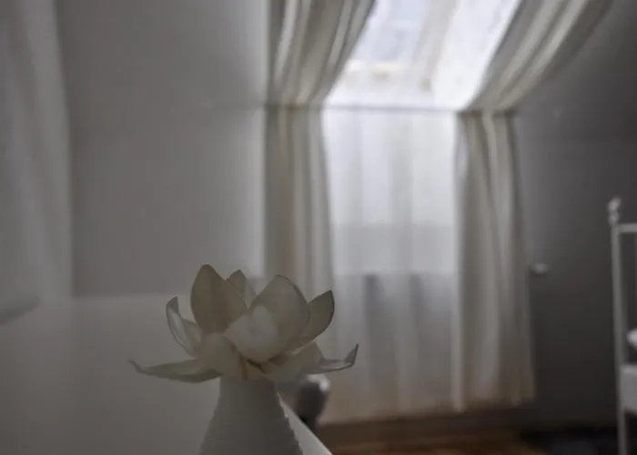 Stari Tisler Ljubljana